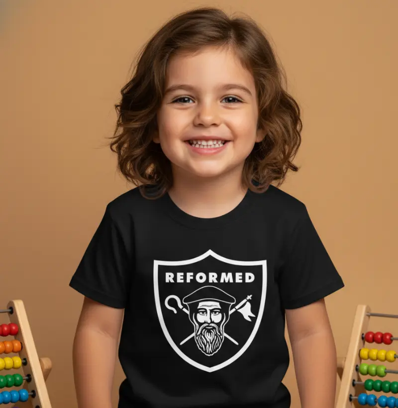 Teologia Reformada — João Calvino