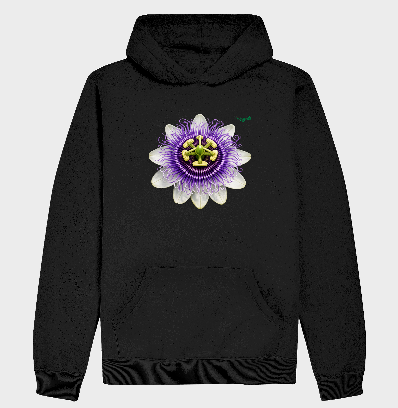 Flor da paixão