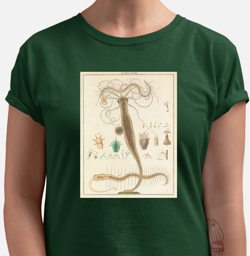 Amusement microscopique (1764)