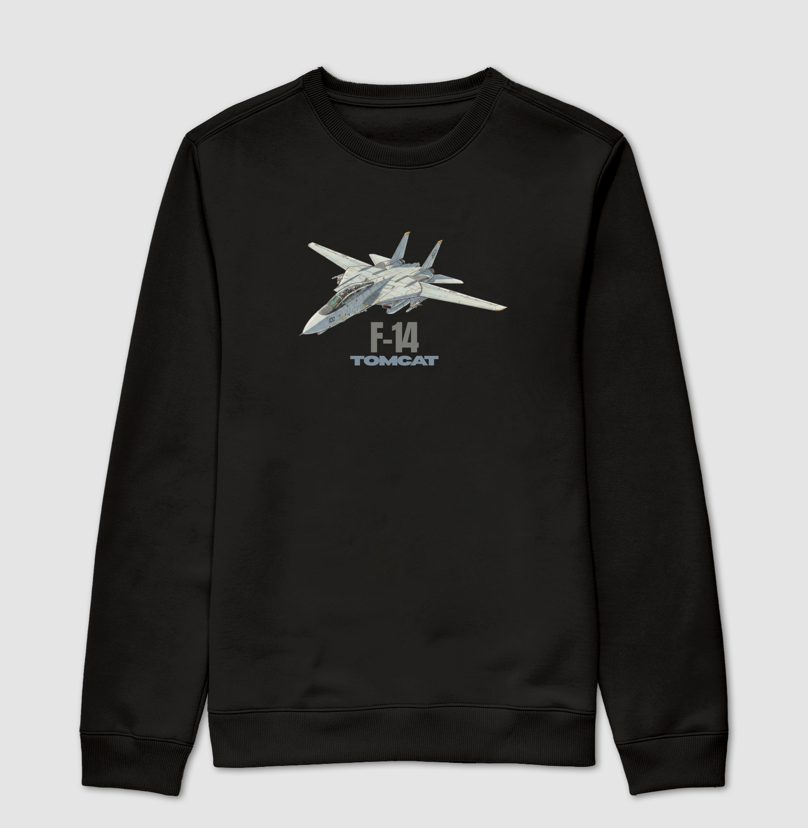 F-14 TOMCAT