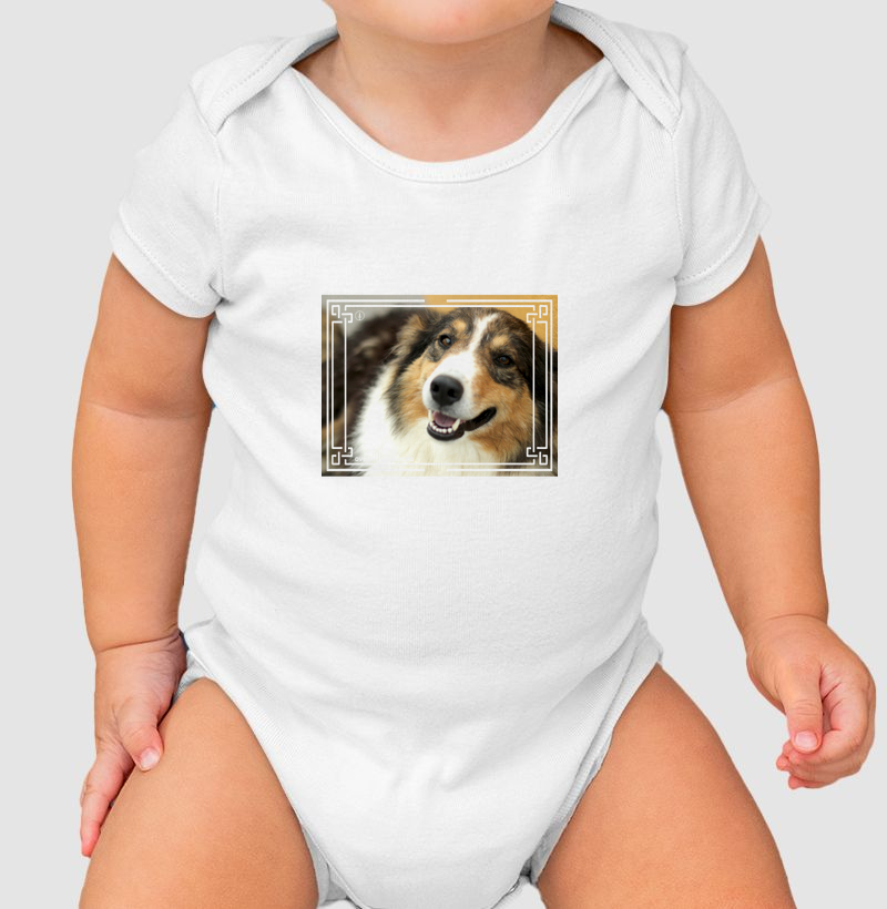 Ovelheiro Gaúcho - Color 4