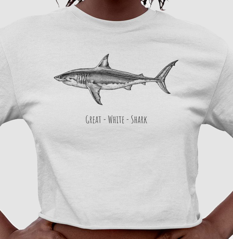 Great White Shark - Cropped