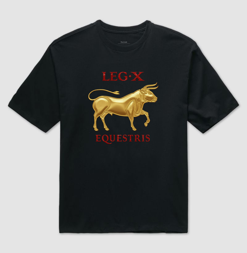 LEGIO — X Equestris