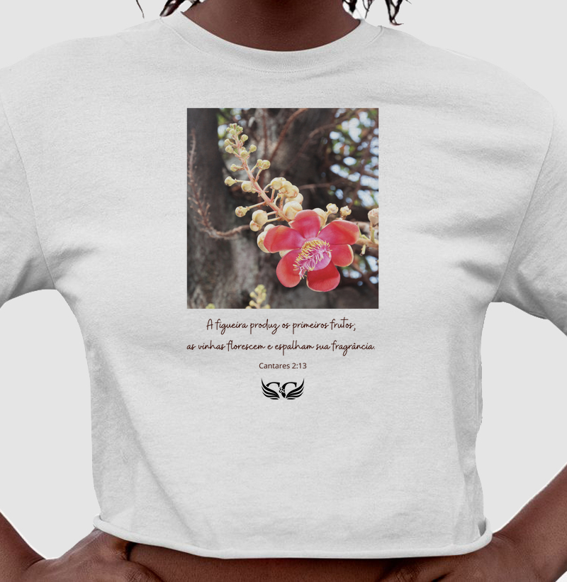 Cropped A Figueira Produz os Primeiros Frutos. Cantares 2.13