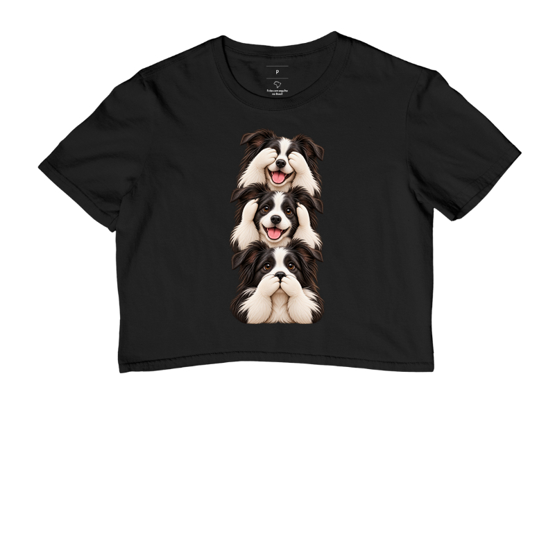 Ver, ouvir e falar Border Collie - Cropped