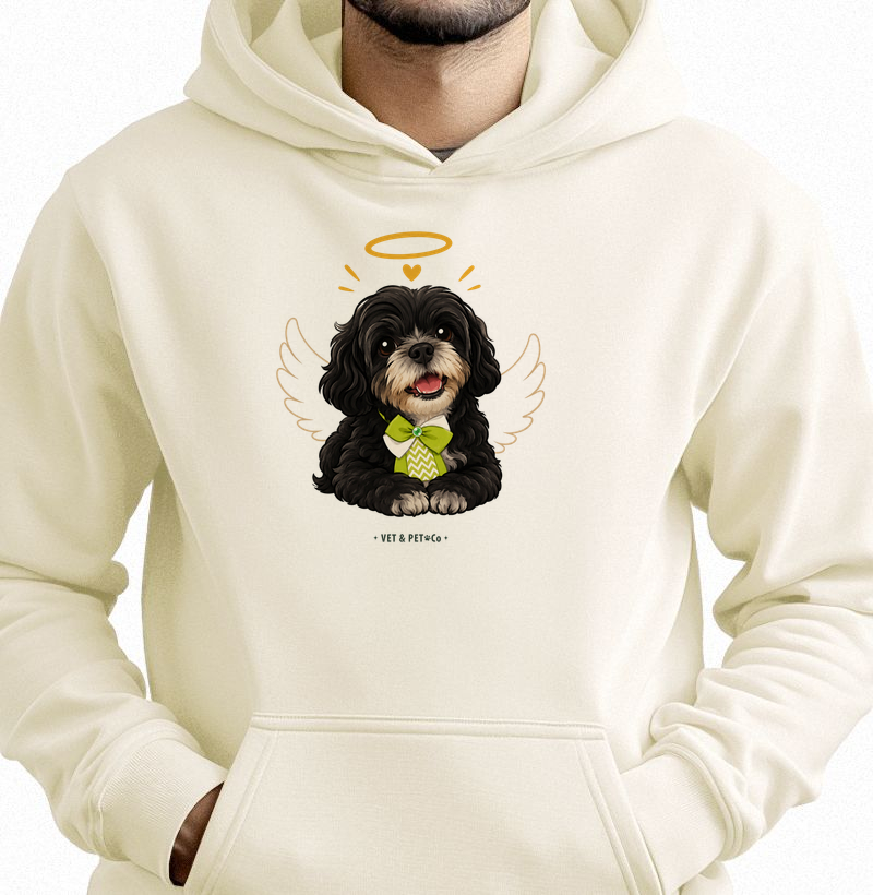 Angel Shih-Tzu (Black & White)