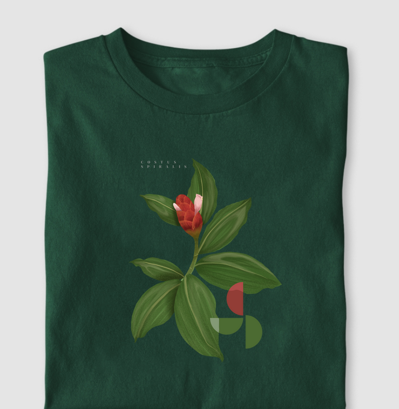 Costus | Cana do Brejo