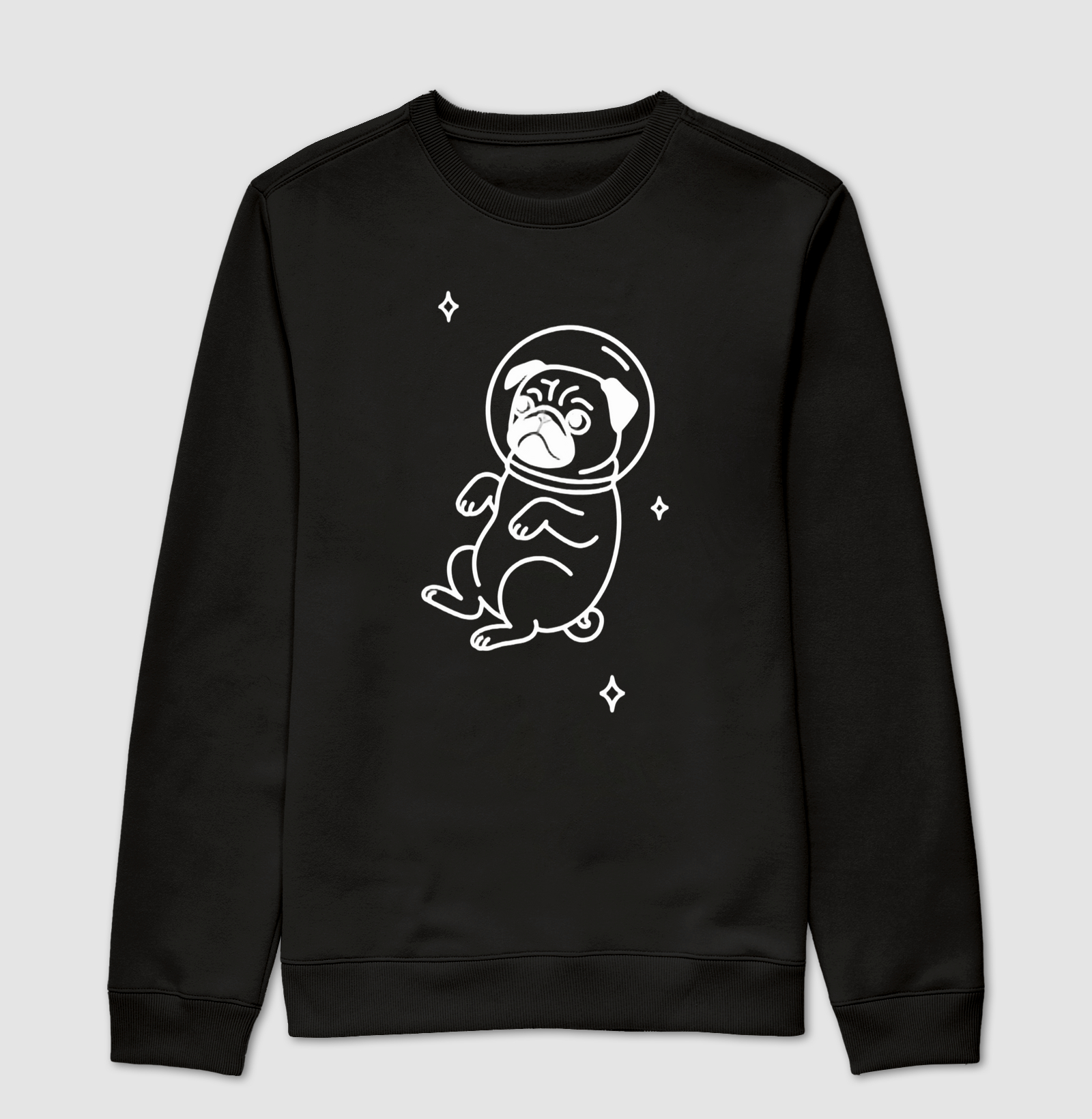 Pug Espacial