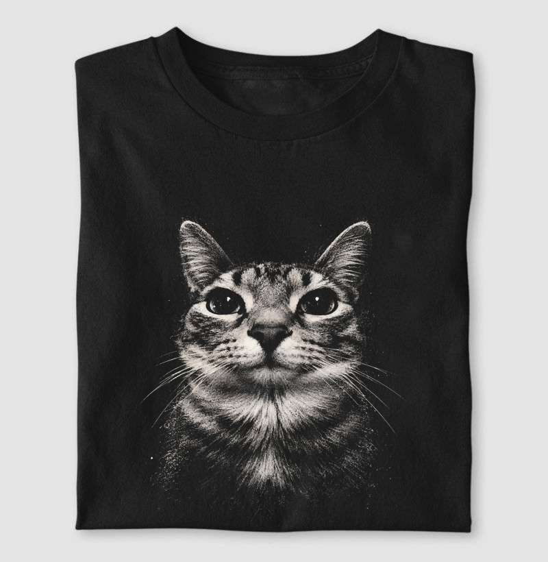 gato meme