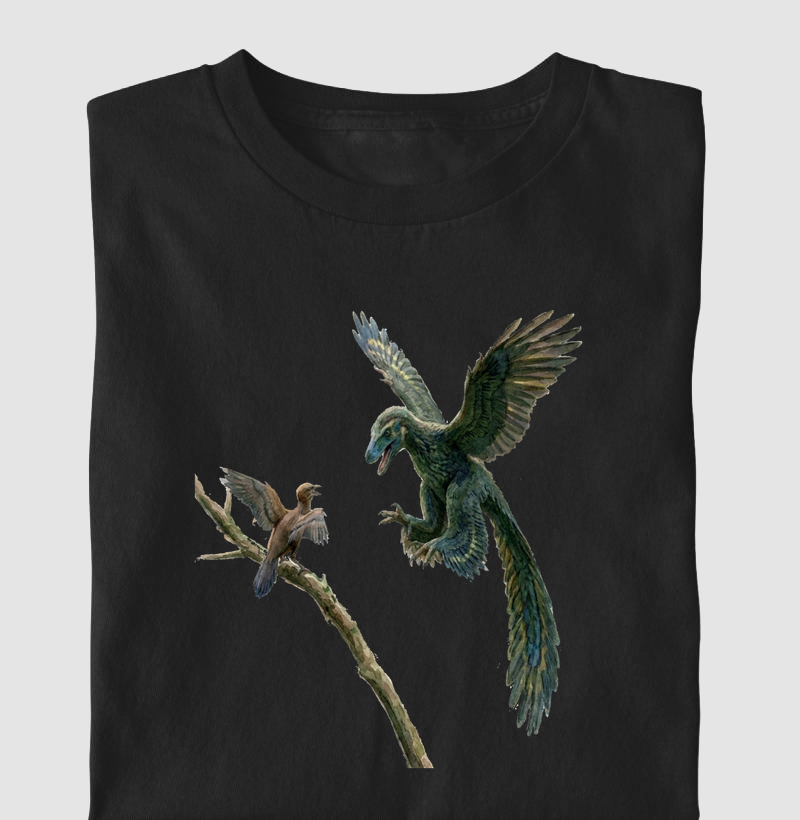 Camiseta Dinossauro Jian changmaensis Captura Algodão Premium Dinoloco