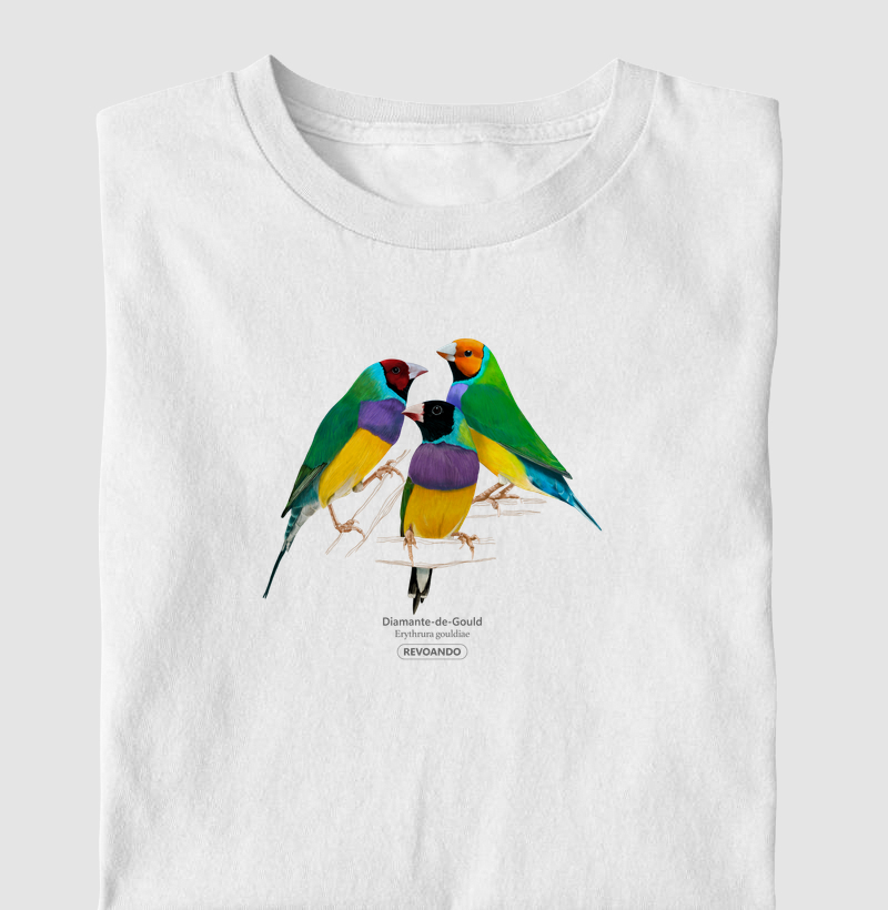 Love Friends - Diamante-de-Gould