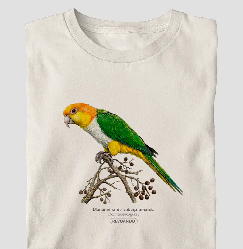 Traços Alados - Marianinha-cabeça-amarela - Oversized