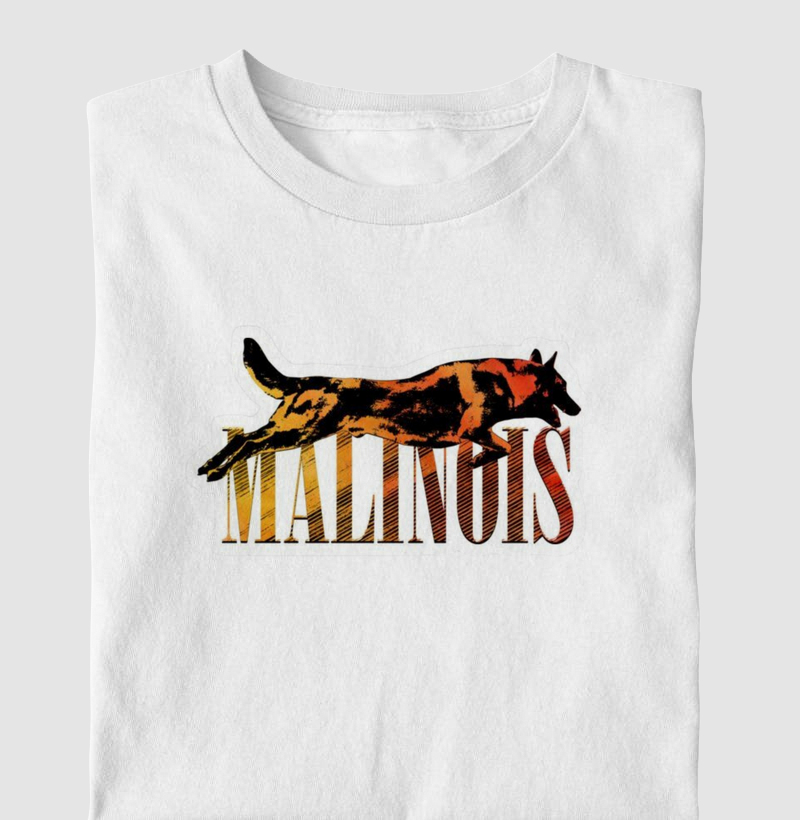 Pastor Malinois salto