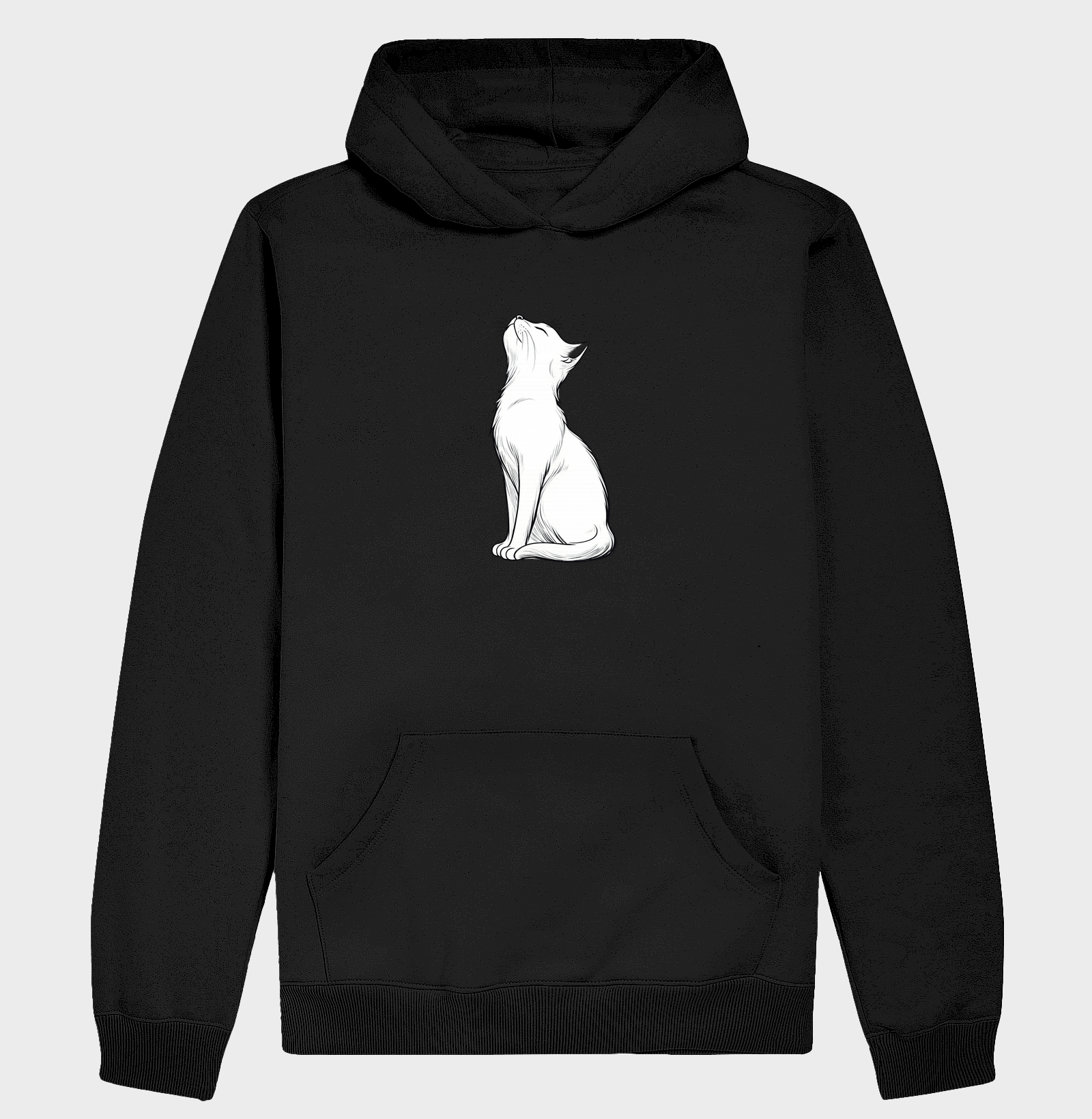 Gato branco