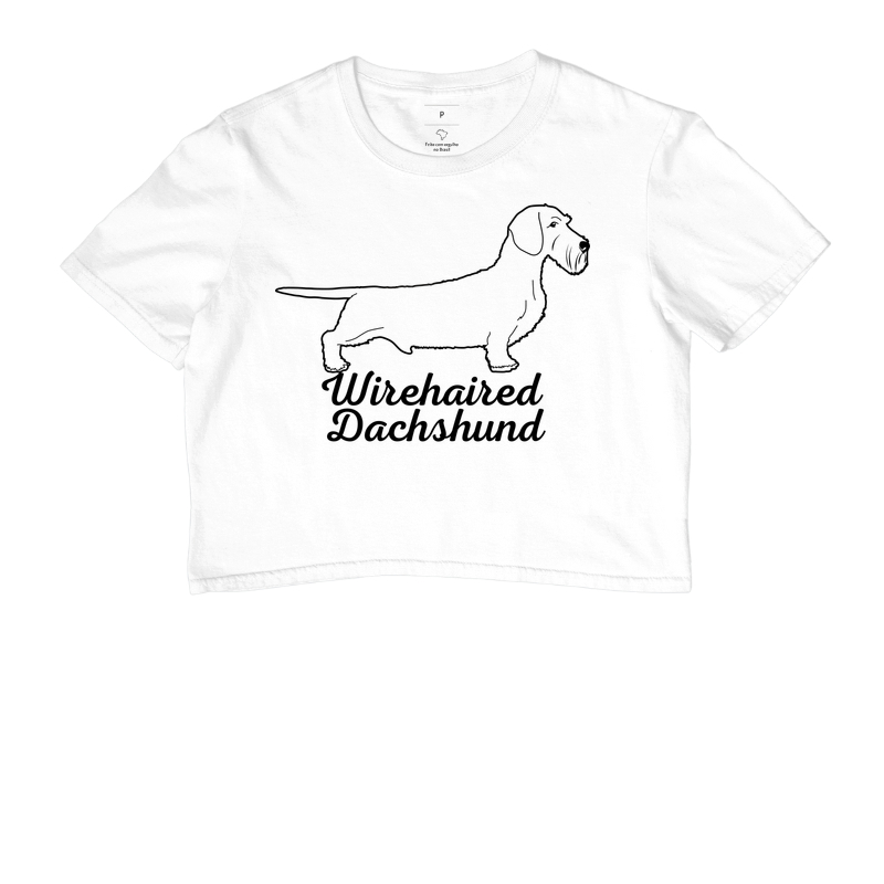 Wirehaired Dachshund 02