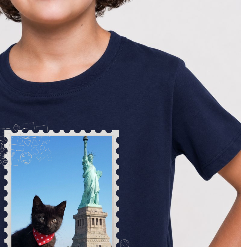 Travelling Cats - New York