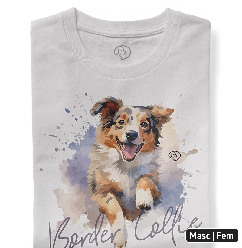 Border Colie Splash