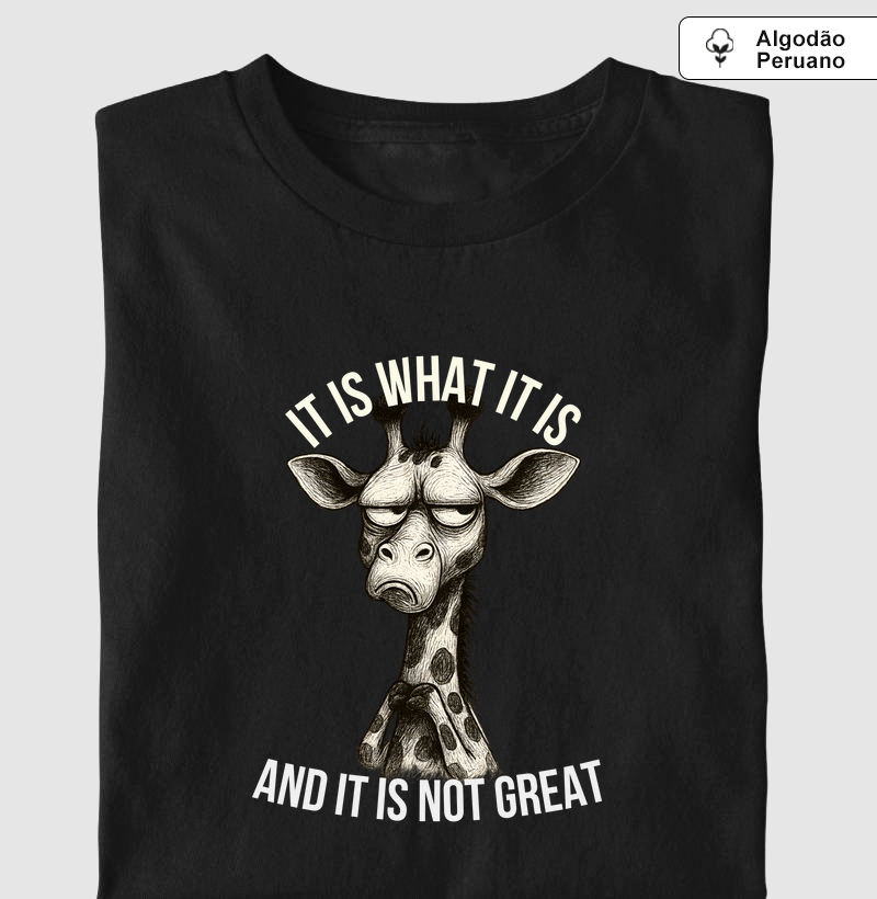 It is what it is and it is not great