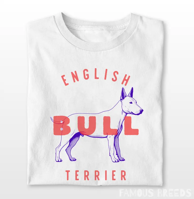 English Bull Terrier