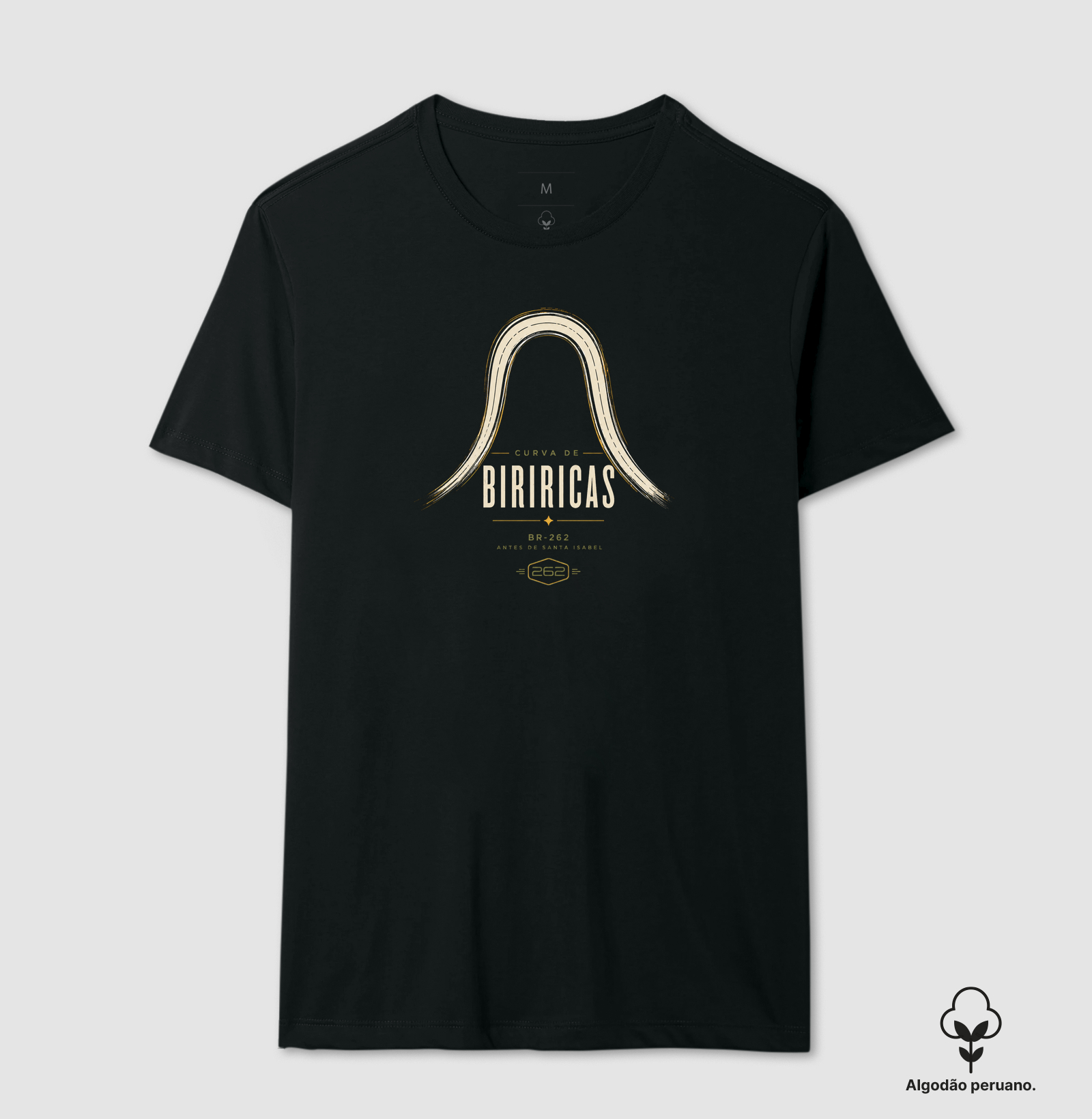Camiseta Curva de Biriricas – BR-262