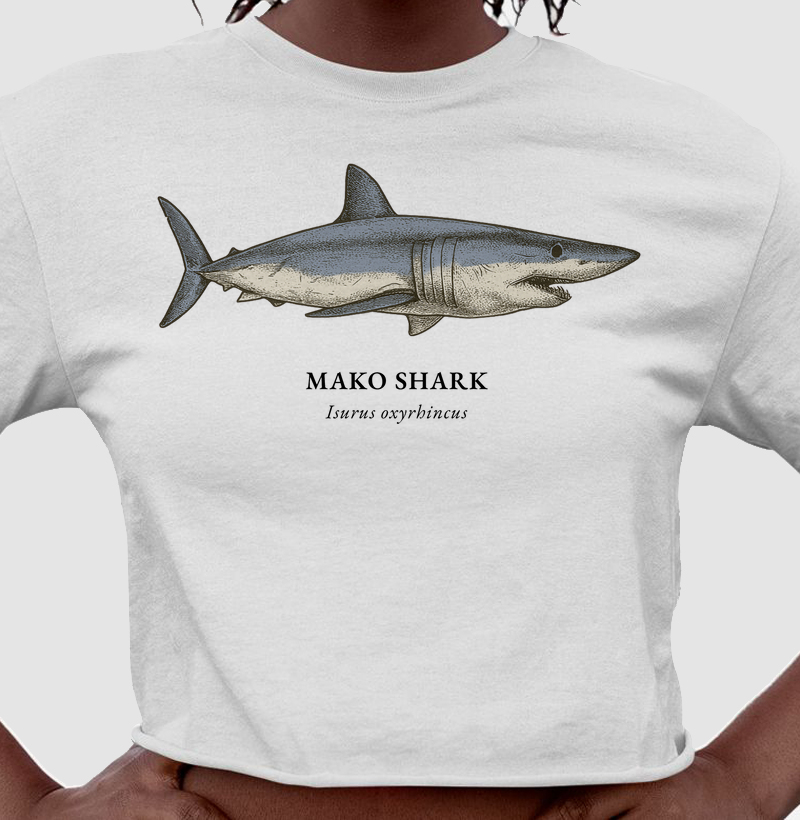 Mako Shark