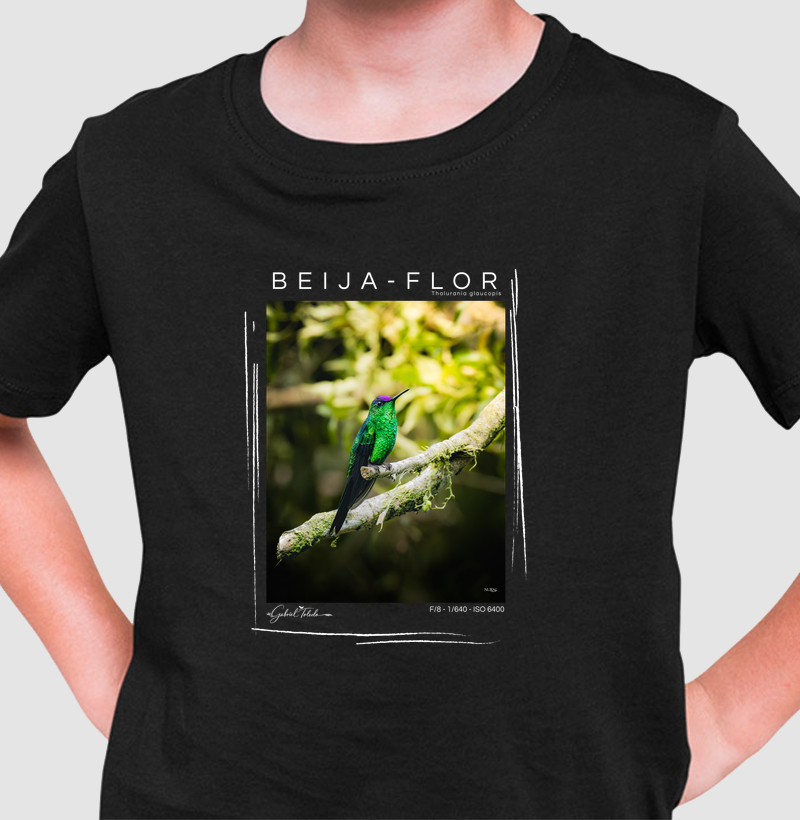 Beija Flor de fronte Violeta