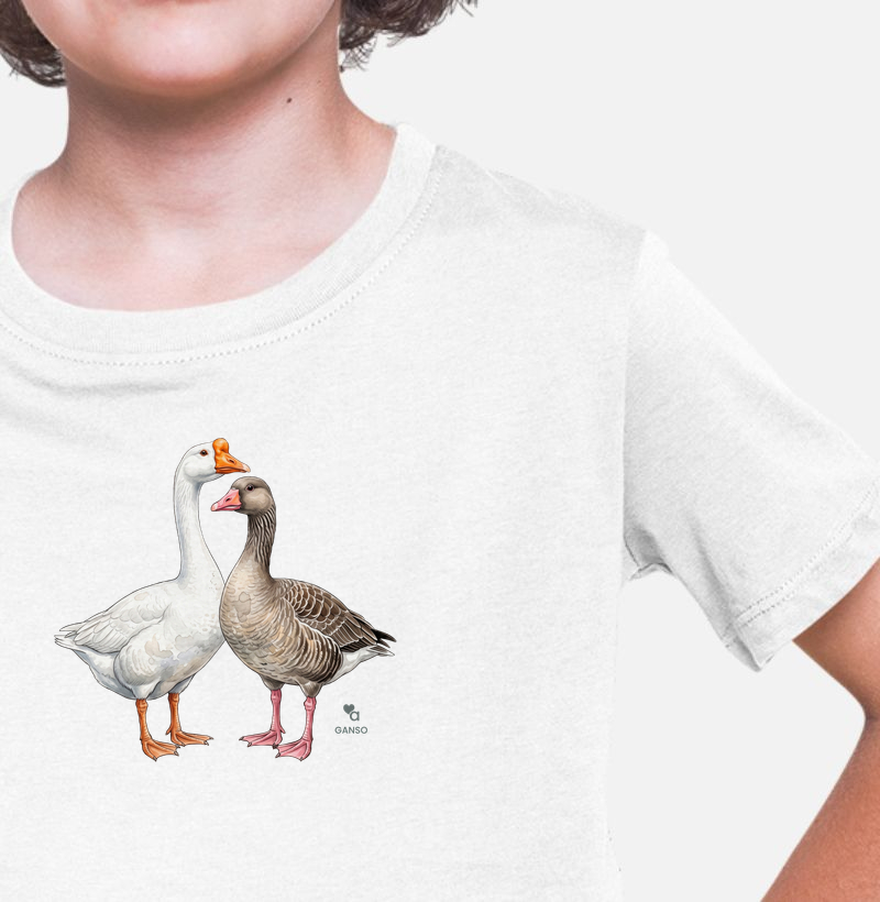 Aves - Gansos - Infantil