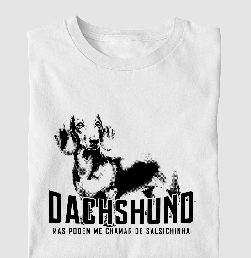 Dachshund 1 