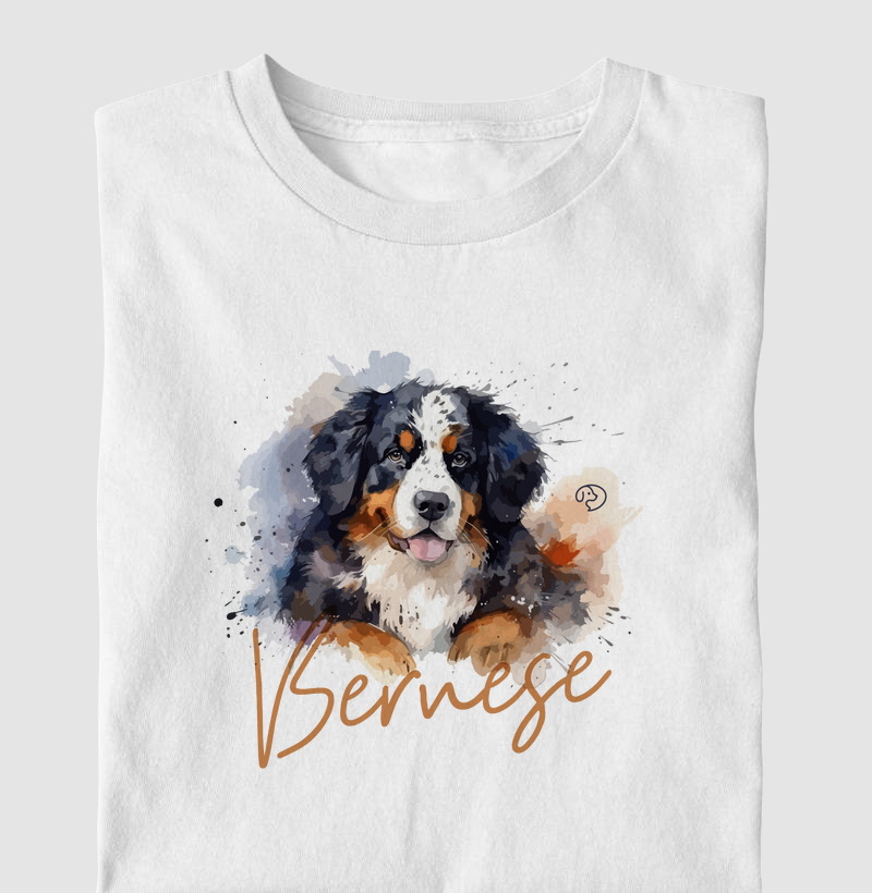 Bernese Splash 2