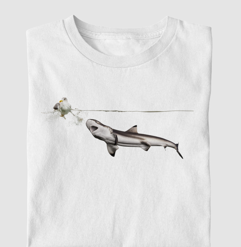 Shark Hunt