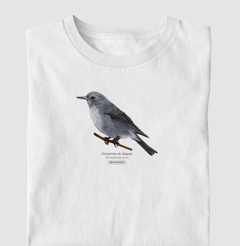 Inky Aves - Choquinha-de-alagoas - Infantil