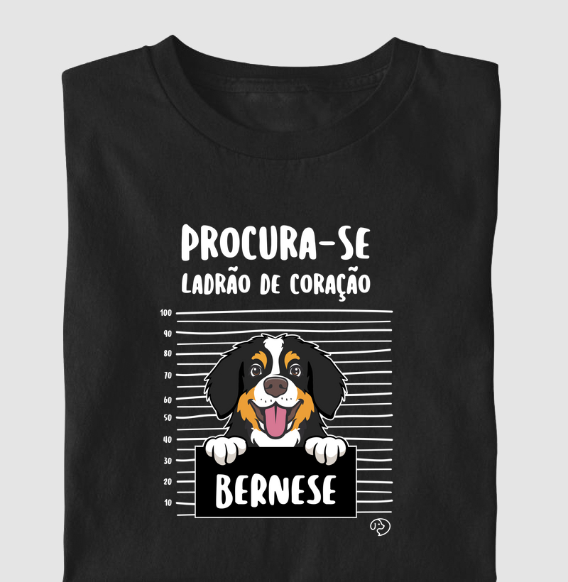 Bernese Ladrão de Coração