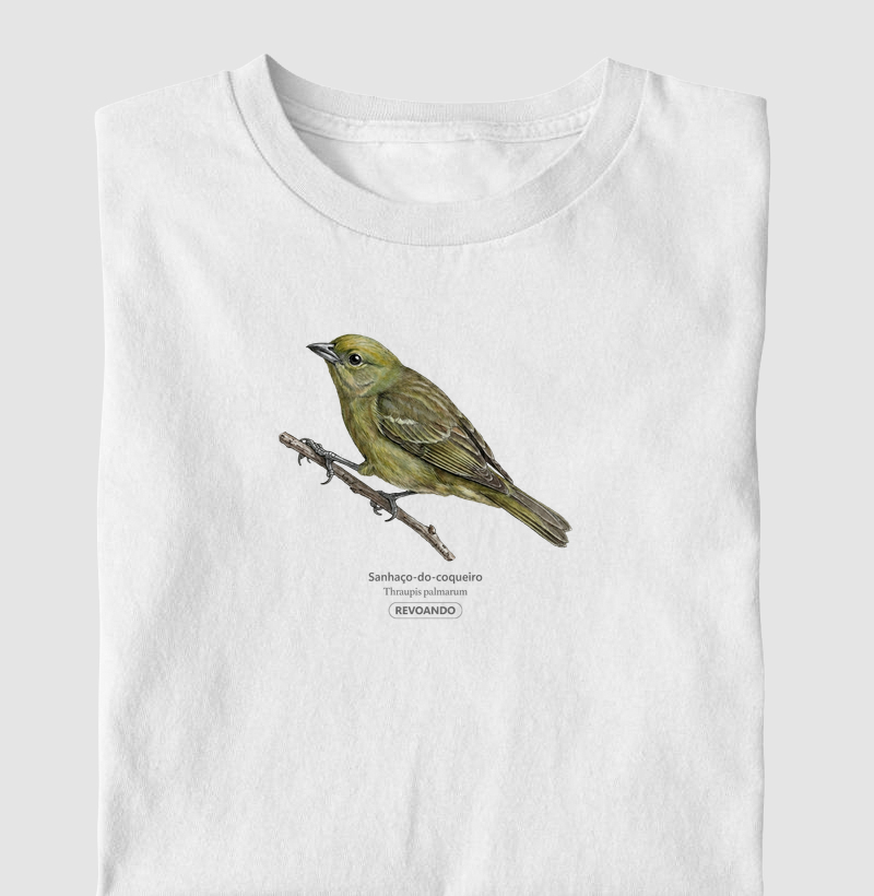 Traços Alados - Sanhaço-do-coqueiro