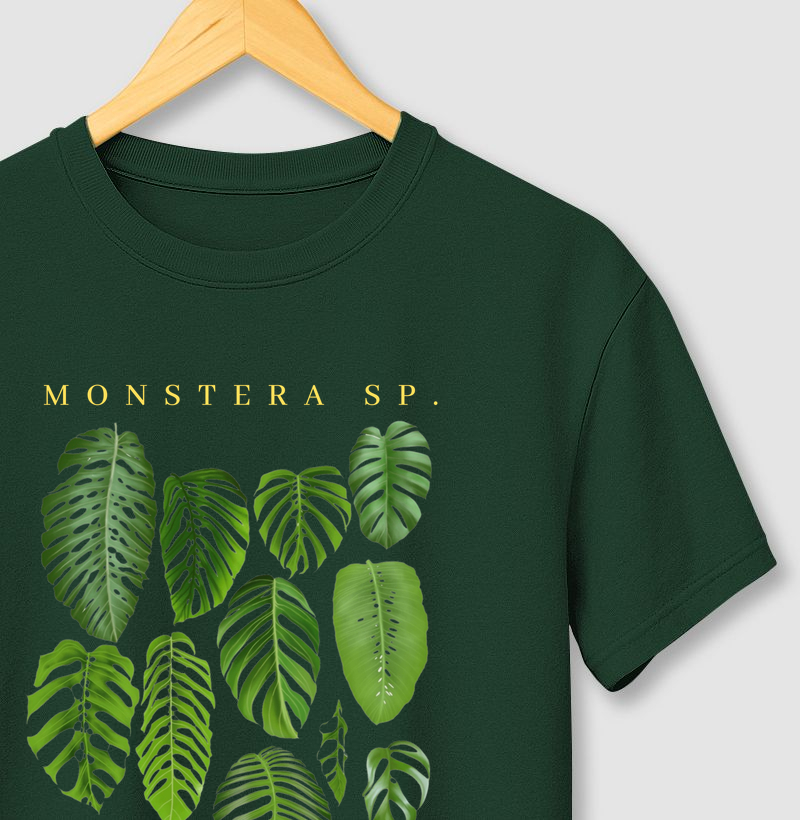 MONSTERA SP II