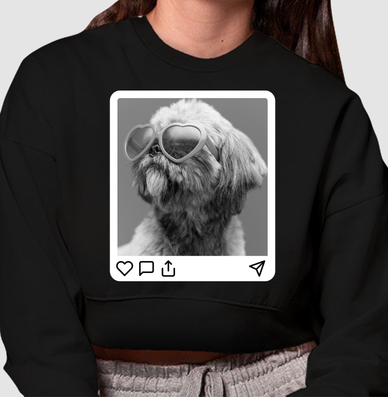 Pawfect Post