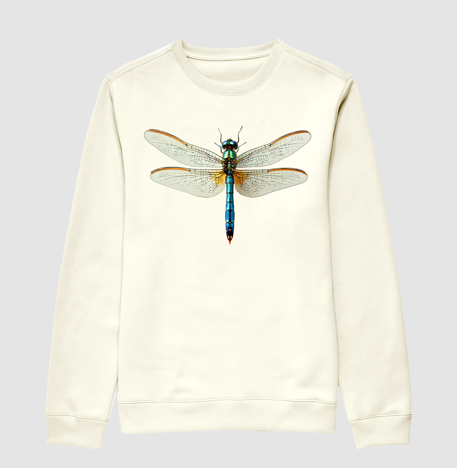 Libelula - Ascensão espiritual