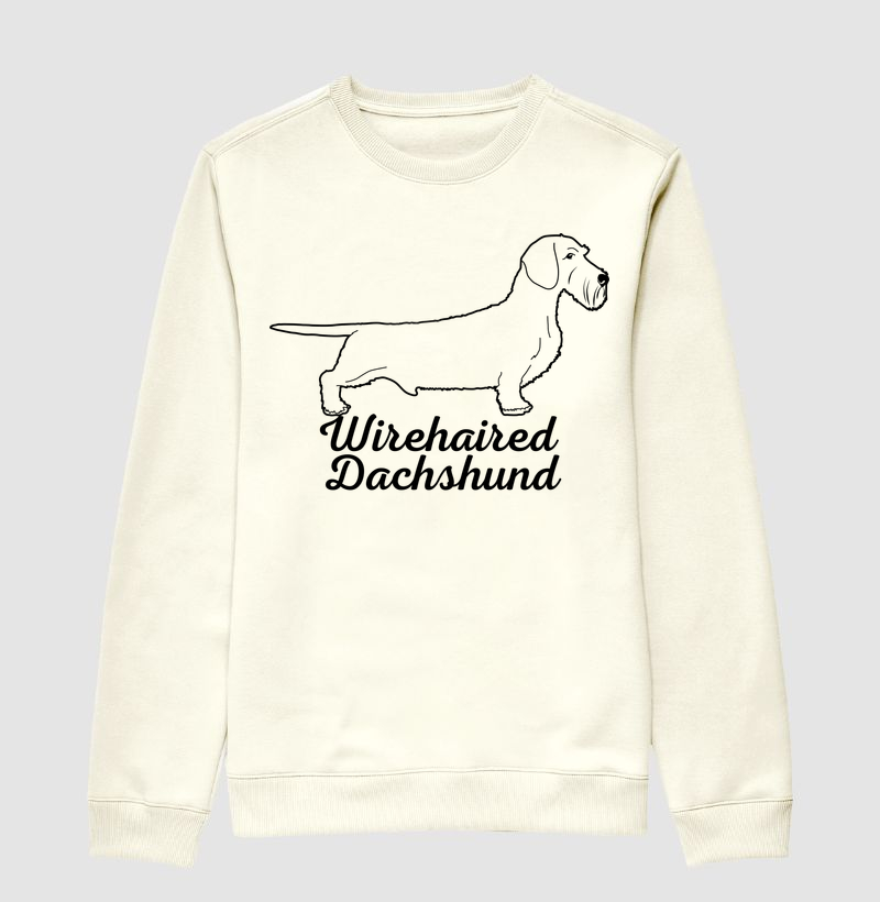 Wirehaired Dachshund 02