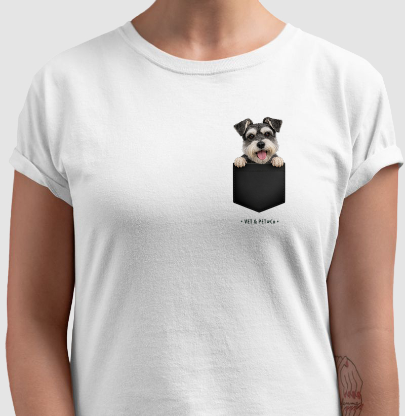 Cachorro de Bolso (Schnauzer)