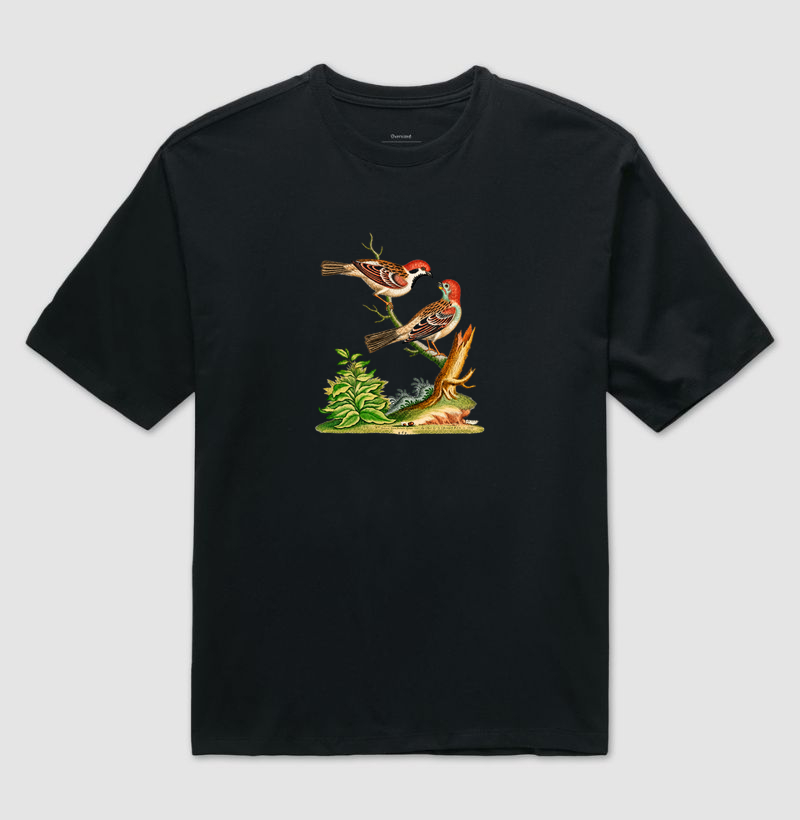 Camiseta Pássaros — História Natural do Século XVIII - Camiseta Oversized