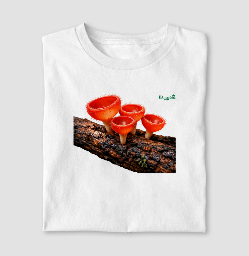 Cogumelos‑taça vermelho