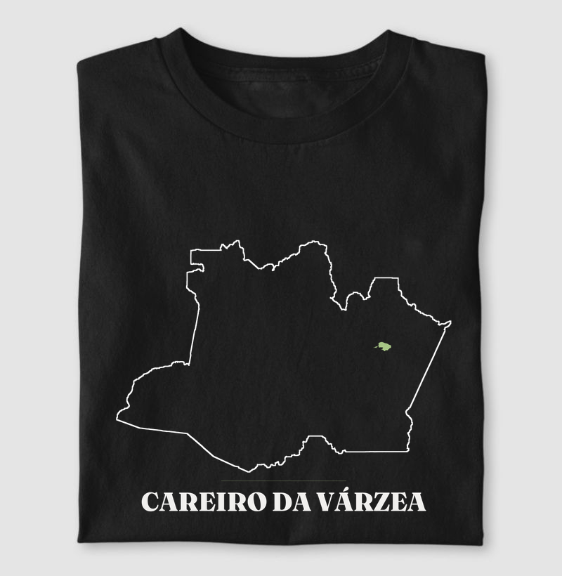 Careiro da Várzea | Traço AM
