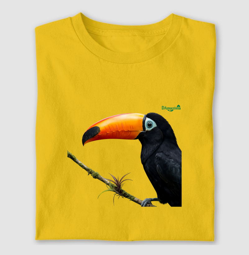Tucano-Toco