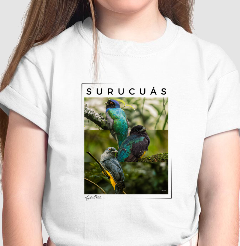 Surucuás