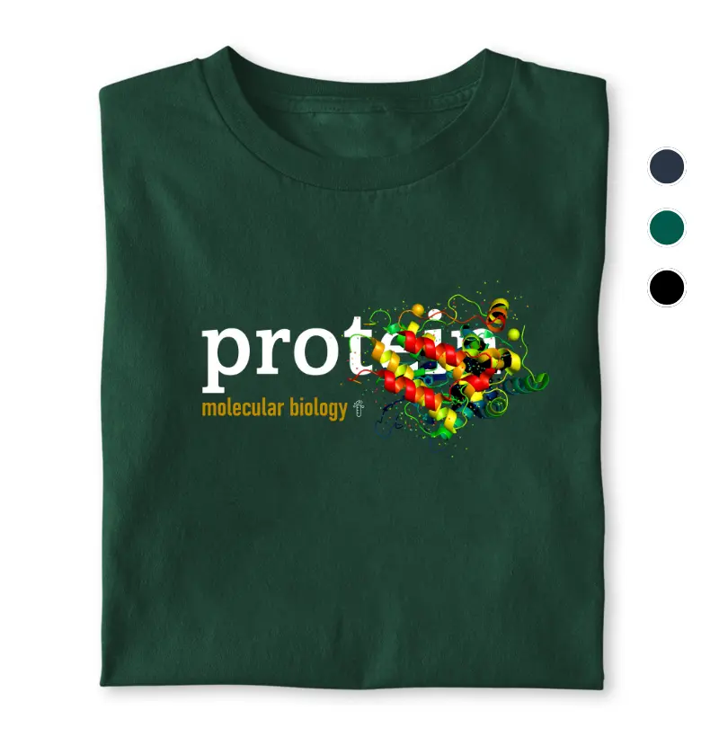 Protein
