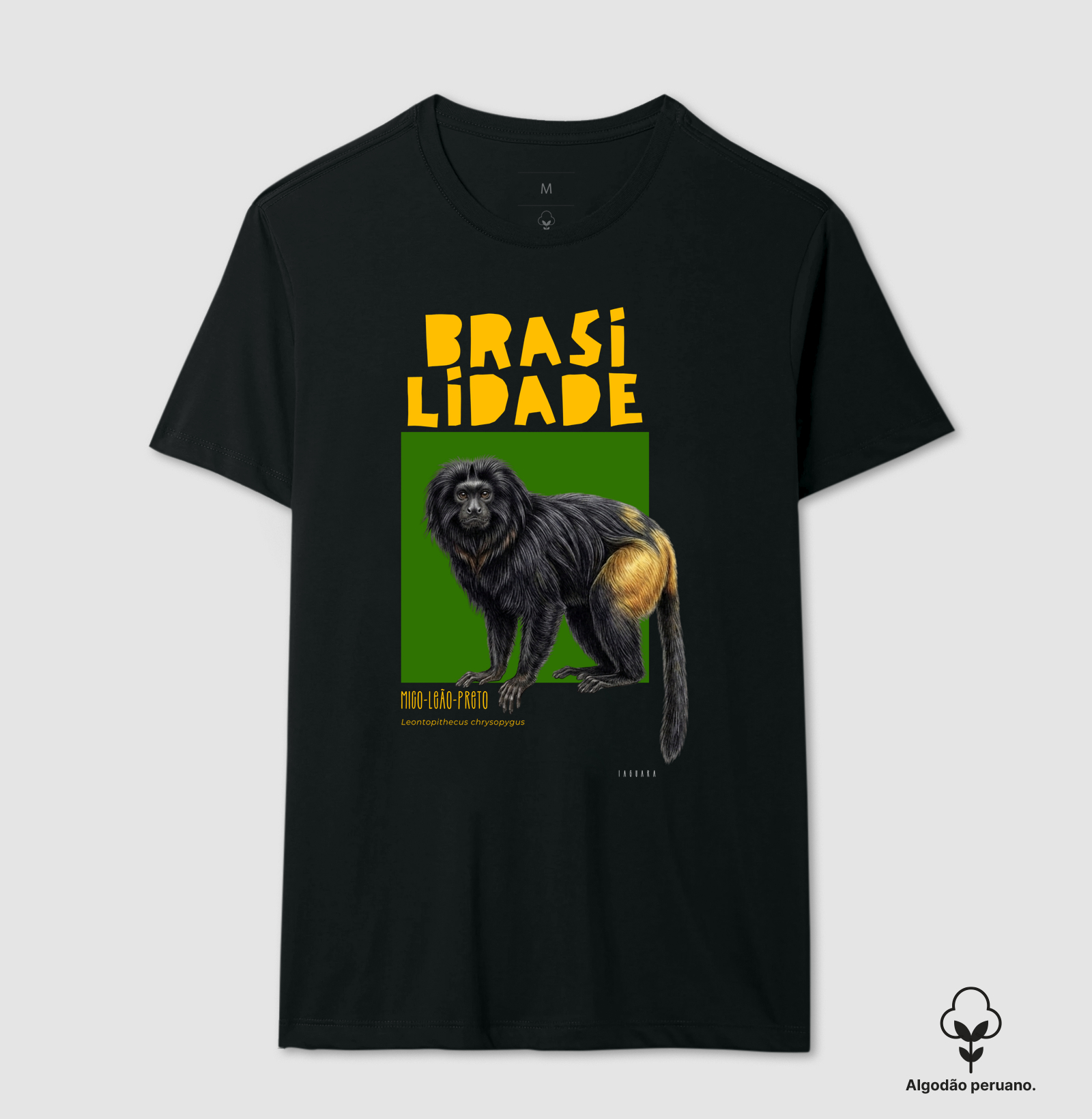 Mico-leão-preto 