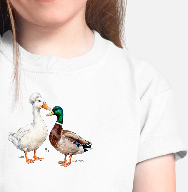 Aves - Pato e Marreco - Infantil