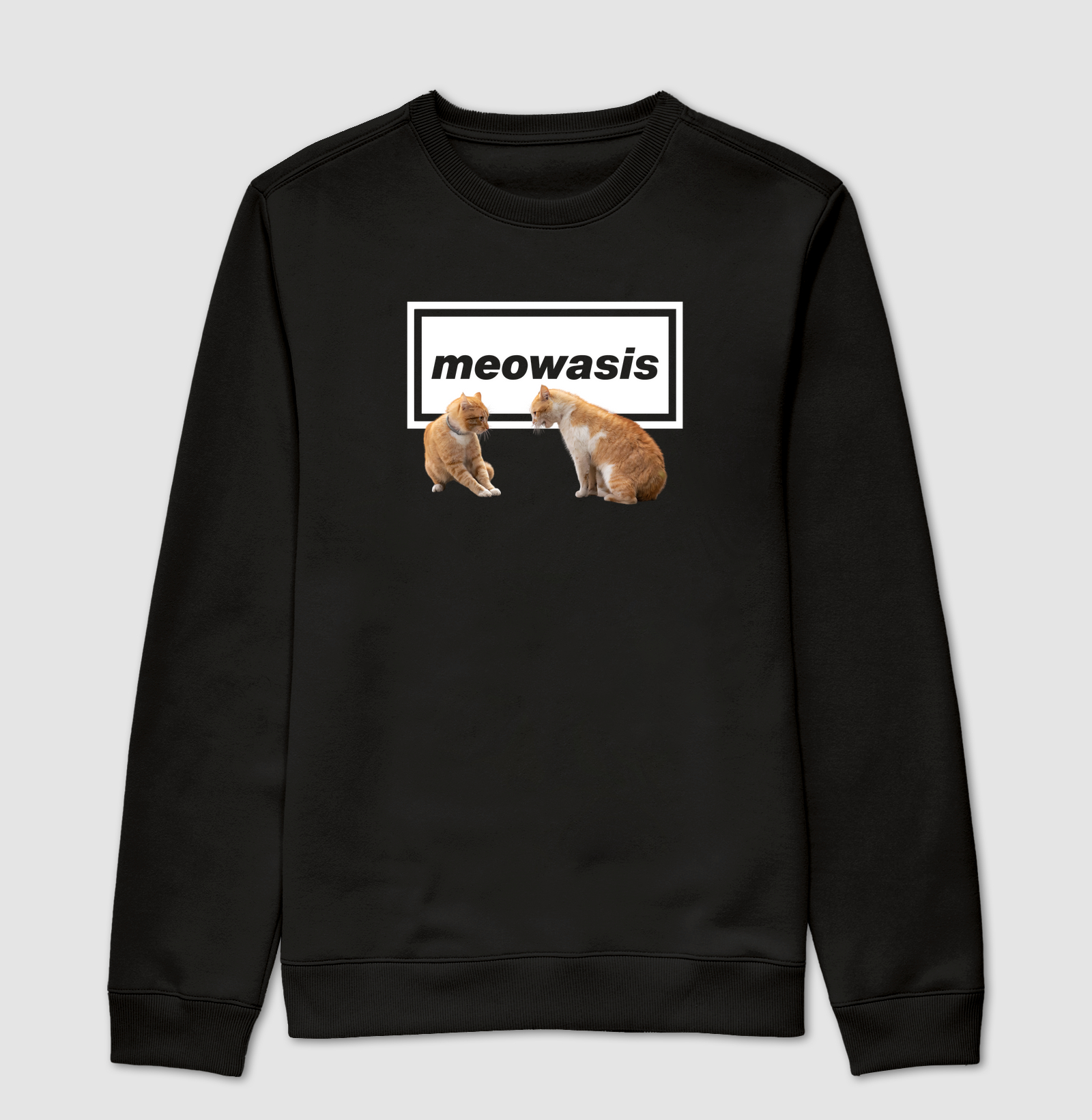 STARING FIGHT MEOWASIS