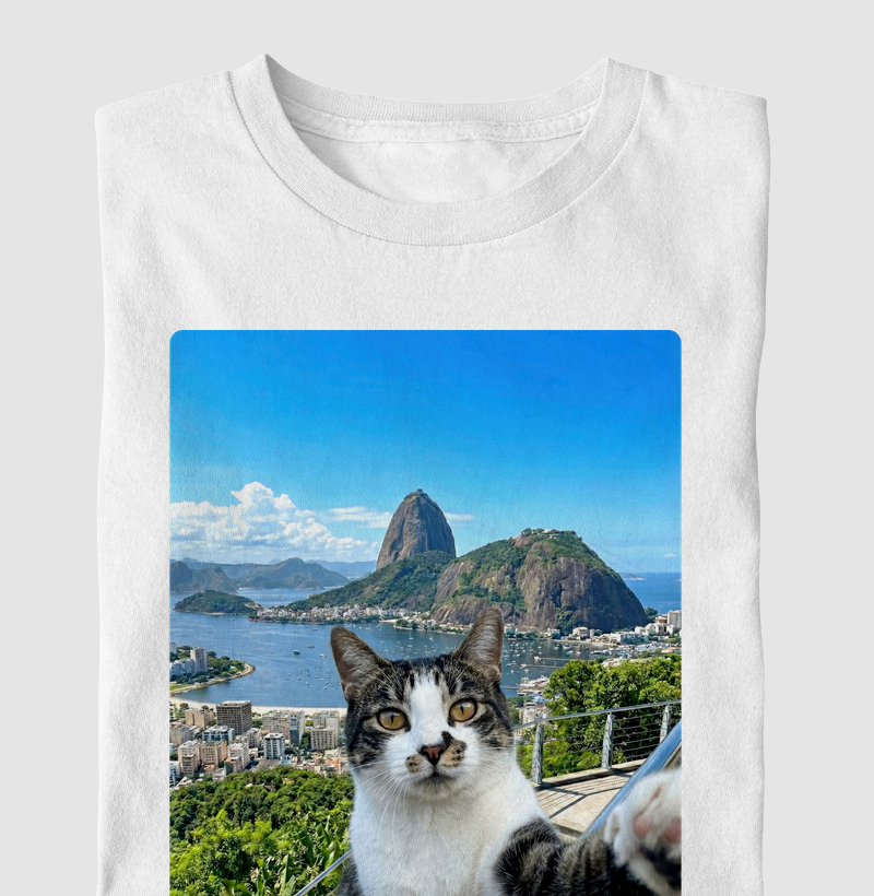 Branquinho Tigrado no Rio de Janeiro