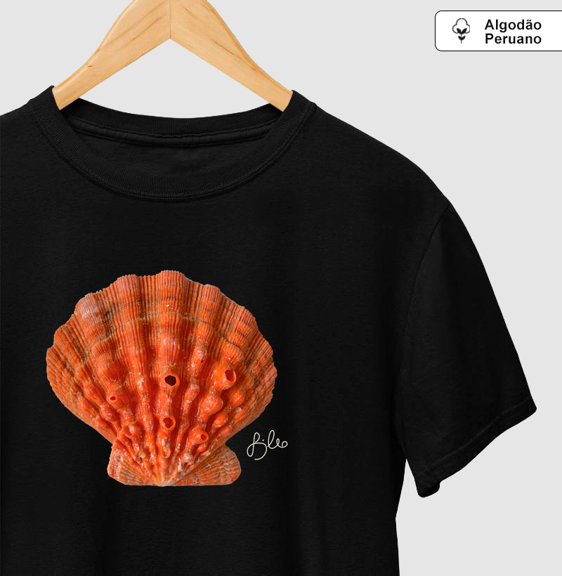 Coquille Saint Jacques