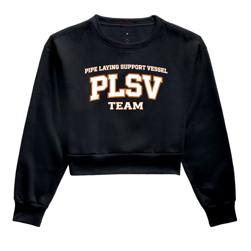 PLSV Team